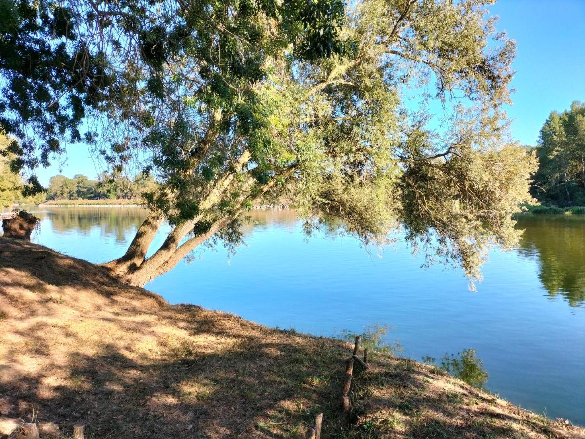 Tours - Rochebonne Daire Dış mekan fotoğraf